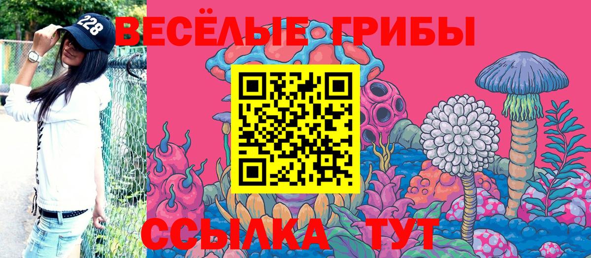 Тихвин  Галлюциногенные грибы Psilocybine cubensis  Вход с VPN 